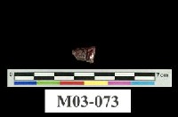 Ruby Collection Image, Figure 5, Total 6 Figures